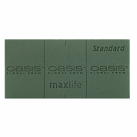 Oasis Floral Foam (Wet) Bricks Standard Maxlife Pack of 3 : Arts, Crafts &  Sewing 